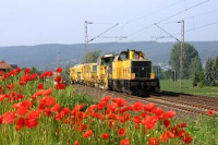 Bahn und Blüten II: Legolok 214 xxx bei Beulshausen, 19.06.2012