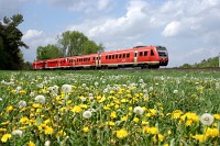Frühling an den Bahnstrecken, dass heißt Raps, Obstbaumblüte und Löwenzahnwiesen. Letztere passieren 612 017 + 009 als RE 3609 am 04.05.2012 westlich von Baddeckenstedt.